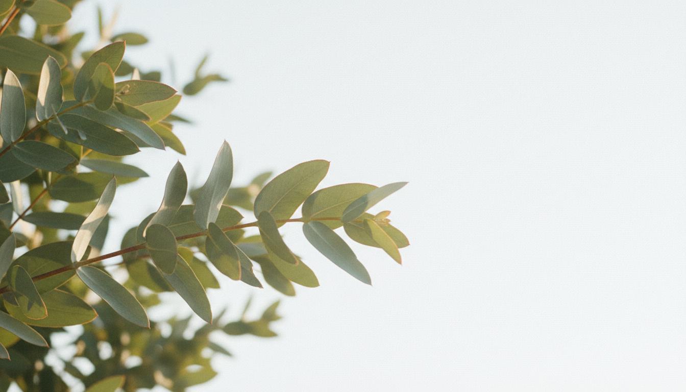 Clean living botanical background